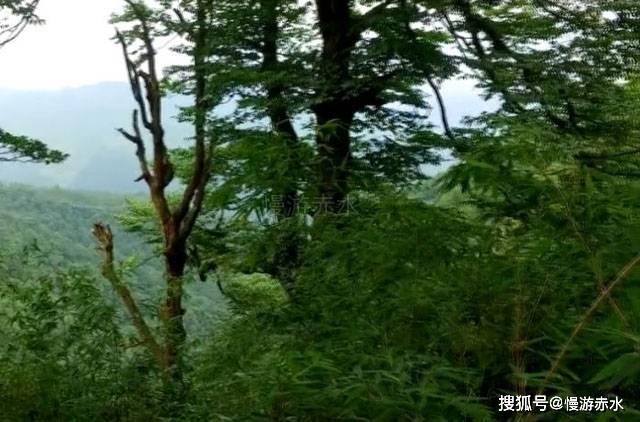 小球进黑洞